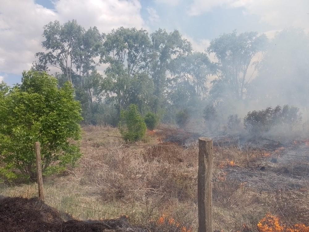 Diez hectáreas de campo fueron arrasadas por el fuego Diario Junin