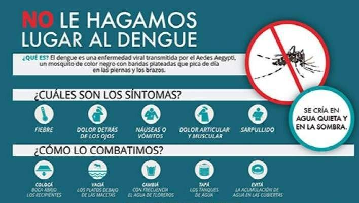 Se reportaron 11 casos de dengue en Junín Diario Junin