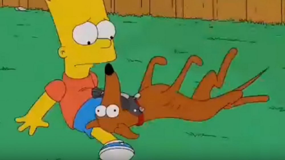 No podía faltar: el capítulo de Los Simpson que predijo el viral del pajarito 