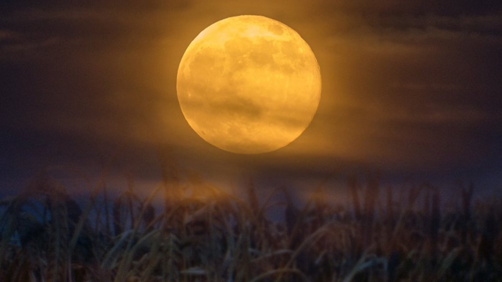"Luna de cosecha" el fenómeno astronómico que se dará este viernes 13