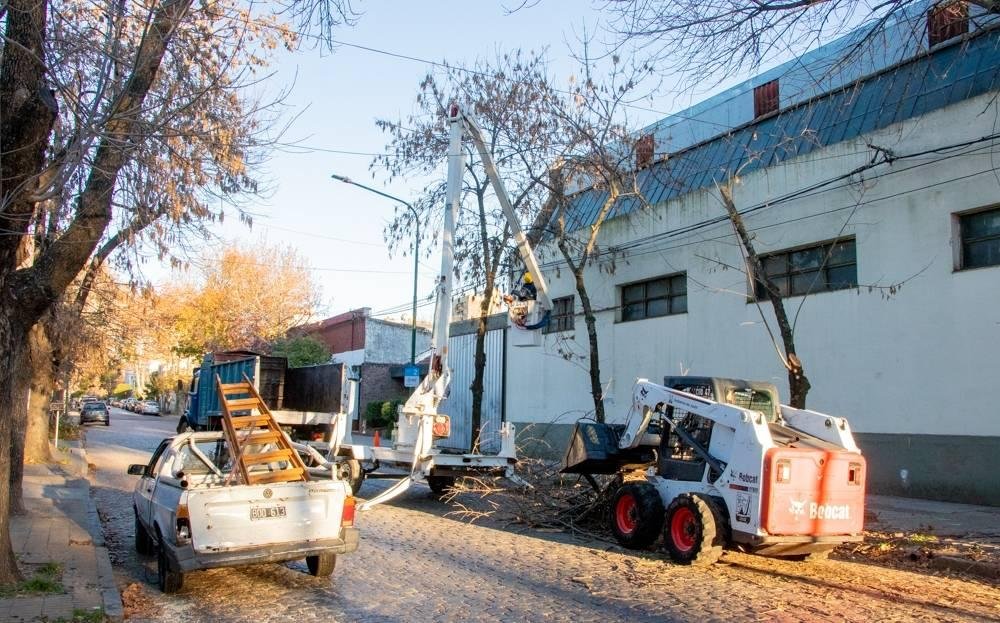 Espacios Públicos realizó tareas de poda en la Escuela Industrial