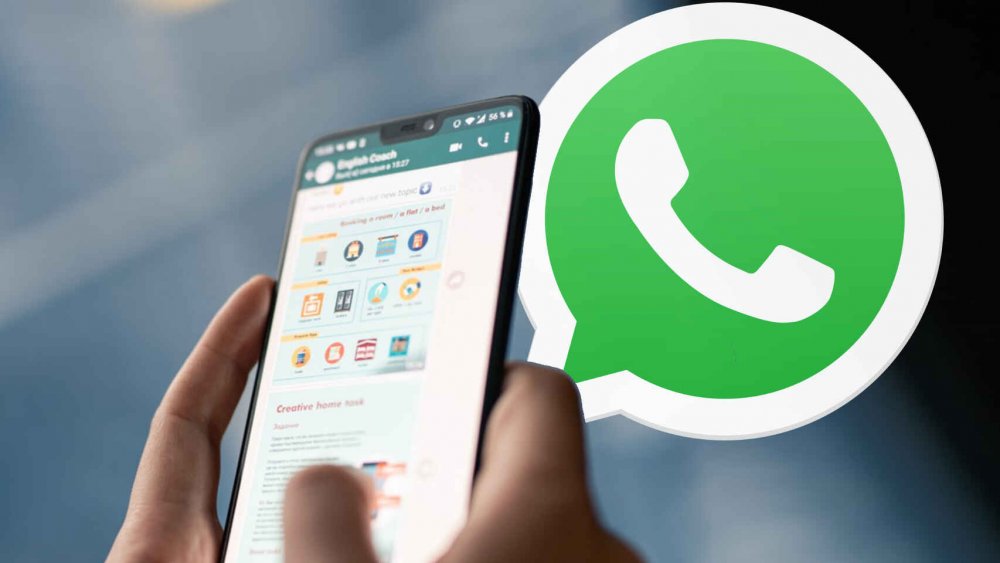 Whatsapp Lanza Una Nueva Función Cómo Serán Las Encuestas En La App Diario Junin 6134