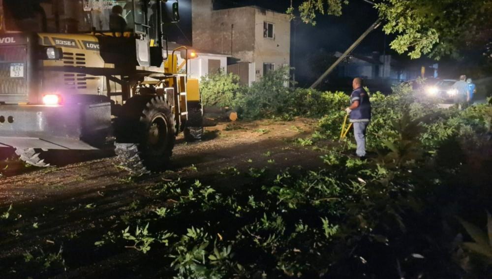 Importantes destrozos causó el temporal de anoche