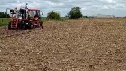 Siembra de ensayos de la Red Nacional de Cultivares de Soja en Junín