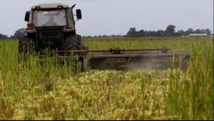 La Provincia lanzó nuevas medidas para el sector agropecuario