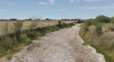 En Junín, la falta de agua complica a los productores: Entre viernes y sábado cayeron solo 14 milímetros