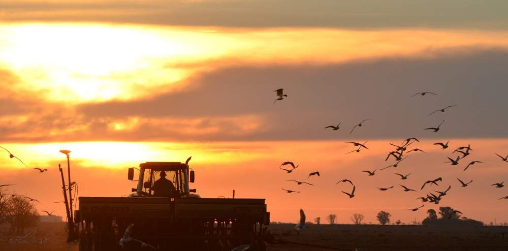 Maquinaria agrícola: crecieron un 30% las ventas en plena pandemia