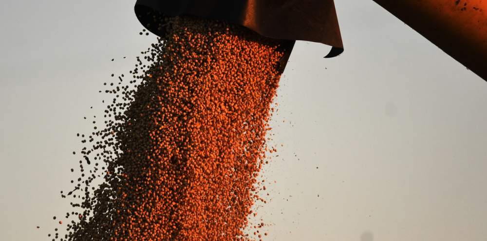 Por la suba del precio de la soja, los futuros agropecuarios marcaron operatoria récord en septiembre